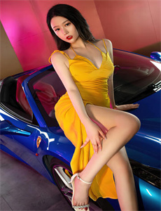 乘龙怪婿4